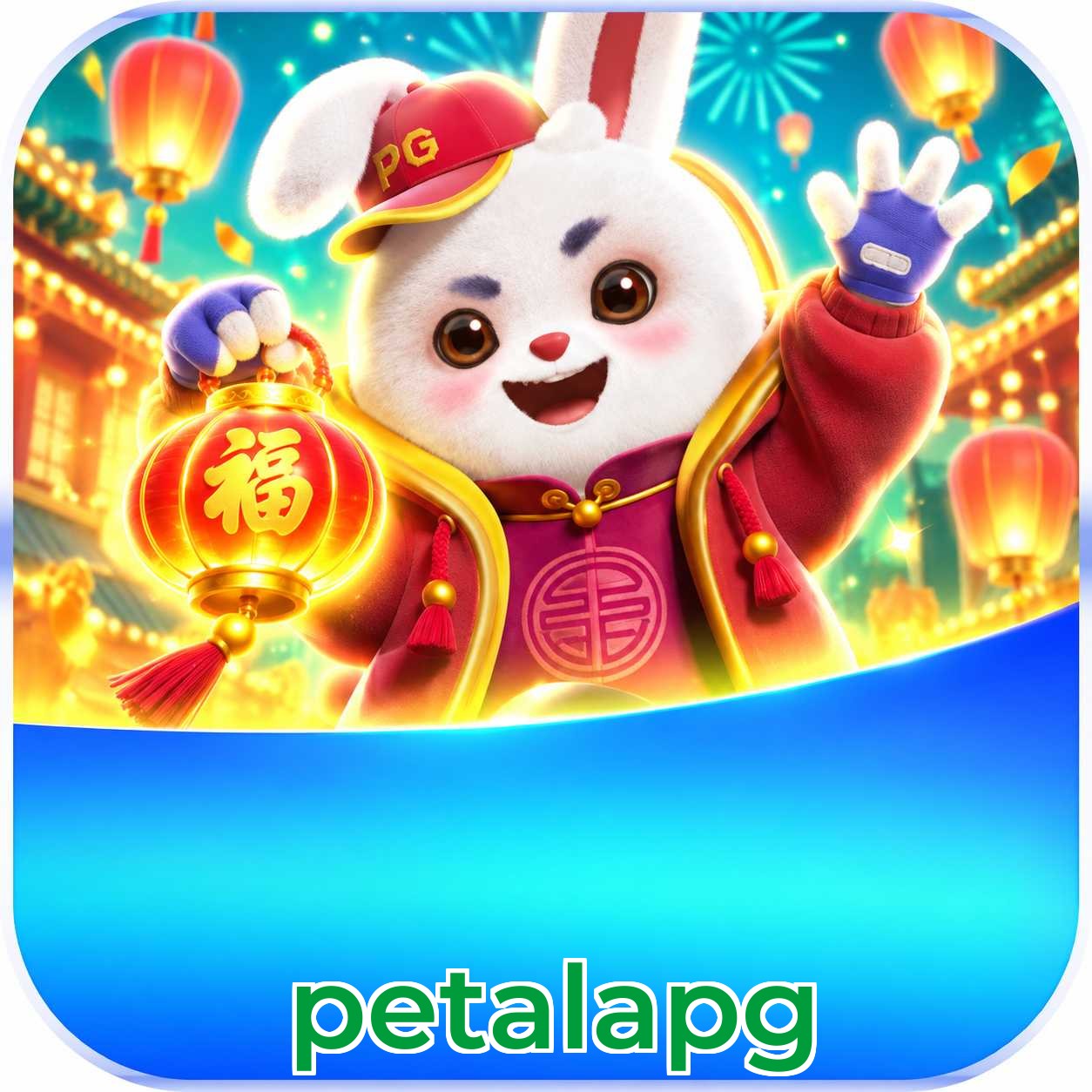 petalapg Security Analysis